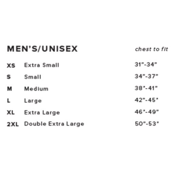 Bella + Canvas® Triblend Unisex V-Neck Tee