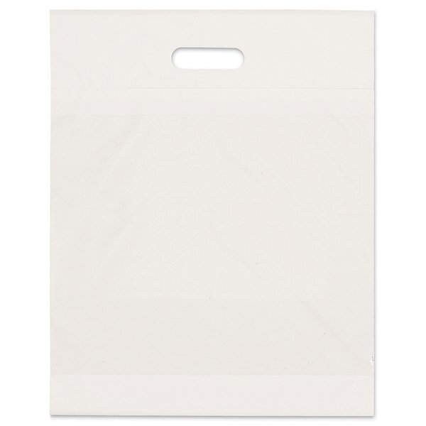 Eco Take Home Plastic Bag, 15" x 19"