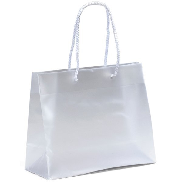 Frosted Eurotote Gift Bag, 10" x 8"