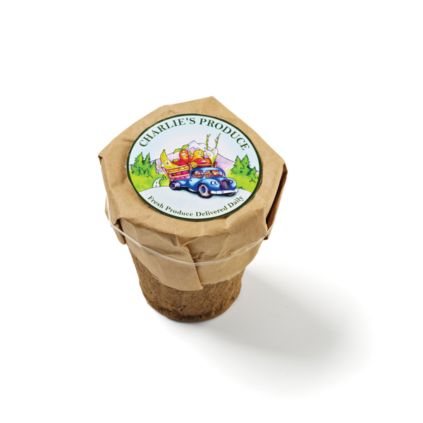 Growables Planter and Seed Kit