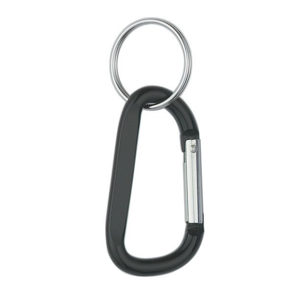 Carabiner with Ring