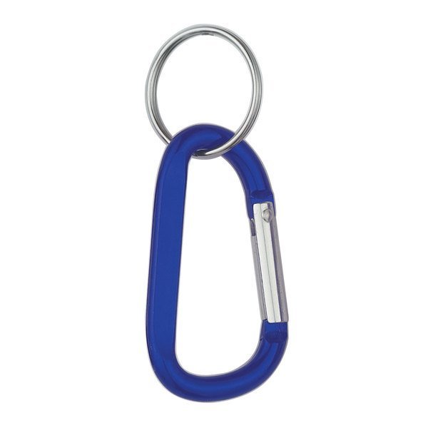Carabiner with Ring