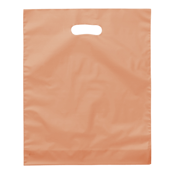 Frosted Brite Plastic Take Home Bag, 12" x 15"