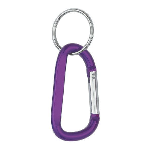Carabiner with Ring