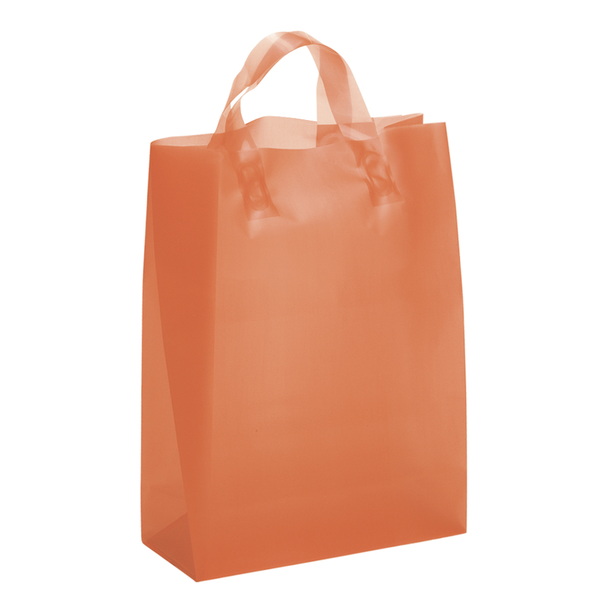 Frosted Shopper Plastic Bag, 10" x 13"
