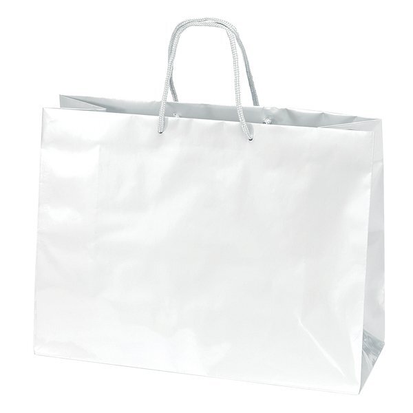 Gloss Finish Euro Tote Gift Bag, 16" x 12"