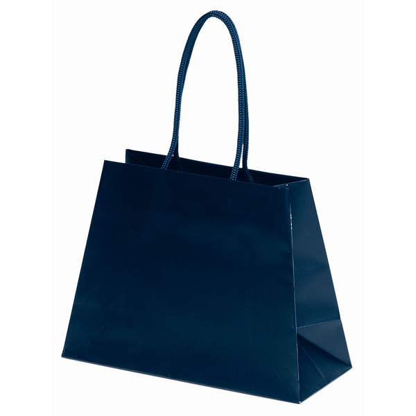 Matte Finish Reverse Trapezoid Eurotote Gift Bag, 10