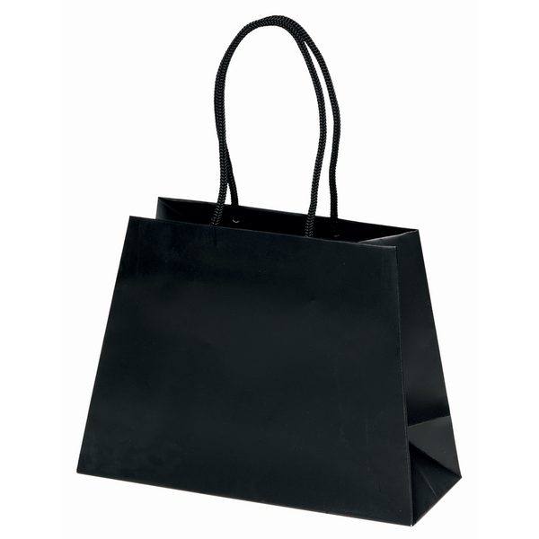 Matte Finish Reverse Trapezoid Eurotote Gift Bag, 10