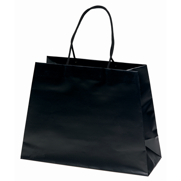 Matte Finish Reverse Trapezoid Eurotote Gift Bag, 16" x 12"