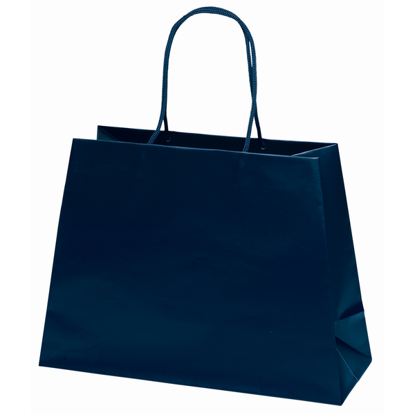 Matte Finish Reverse Trapezoid Eurotote Gift Bag, 16" x 12"