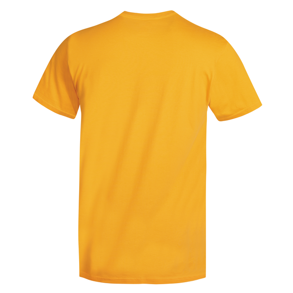 Hanes Nano-T® Ringspun Cotton Men's Tee