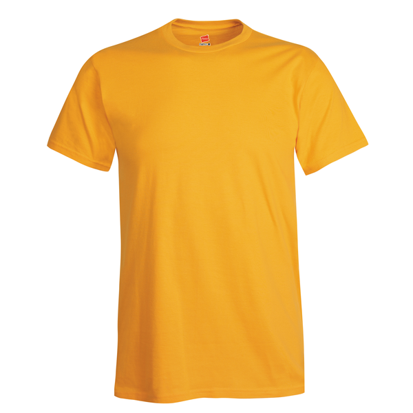 Hanes Nano-T® Ringspun Cotton Men's Tee