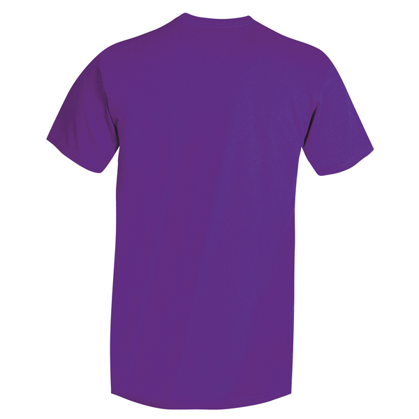 Hanes Nano-T® Ringspun Cotton Men's Tee