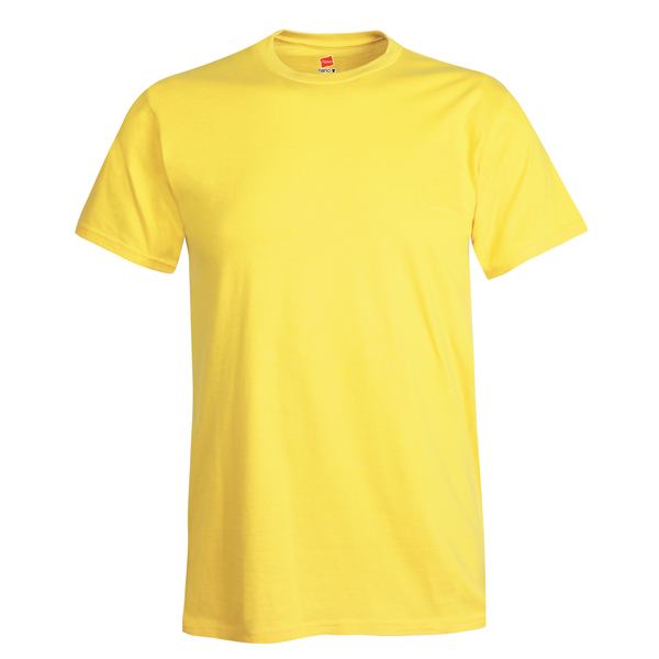 Hanes Nano-T® Ringspun Cotton Men's Tee