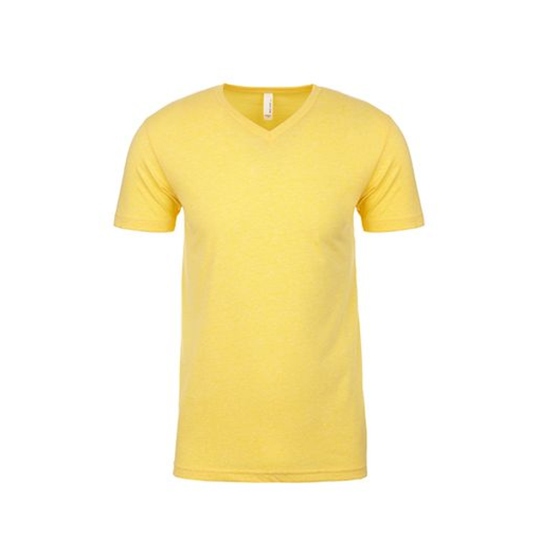 Next Level® Premium CVC Men's V Neck Tee