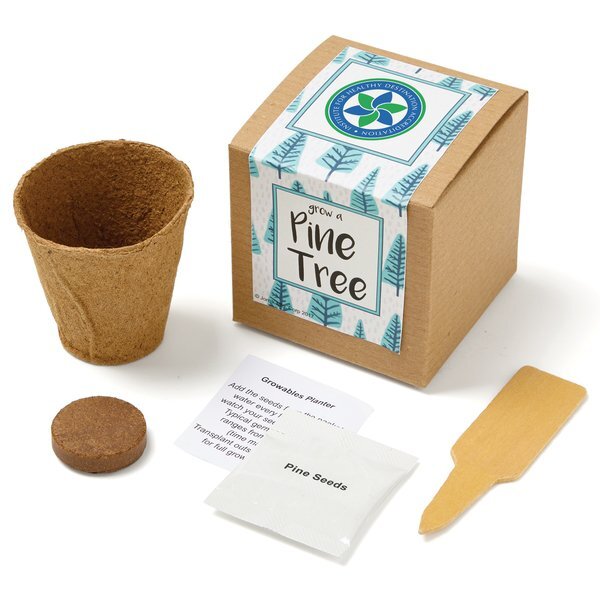 Pine Tree Growables Planter in Kraft Gift Box w/ Label