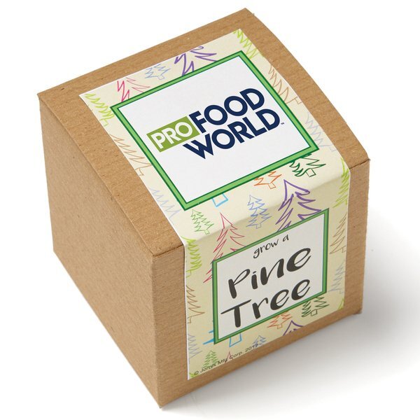 Pine Tree Growables Planter in Kraft Gift Box w/ Label