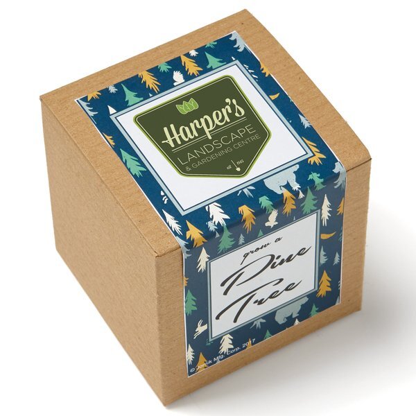 Pine Tree Growables Planter in Kraft Gift Box w/ Label