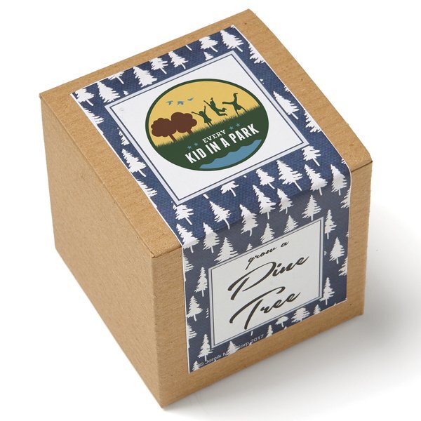 Pine Tree Growables Planter in Kraft Gift Box w/ Label
