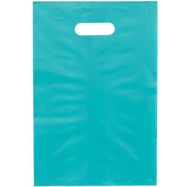 Frosted Brite Plastic Take Home Bag, 9-1/2" x 14"