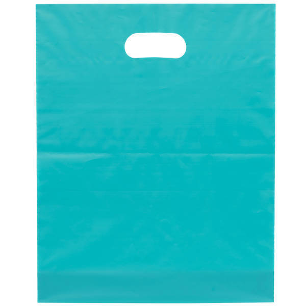 Frosted Brite Plastic Take Home Bag, 12" x 15"