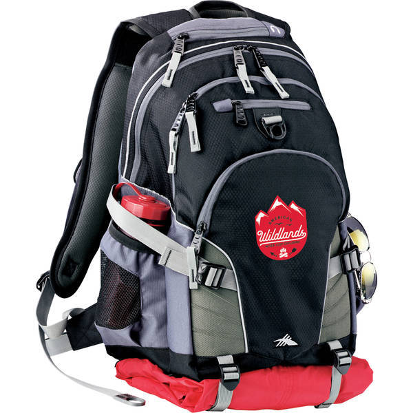 High Sierra® Loop Backpack