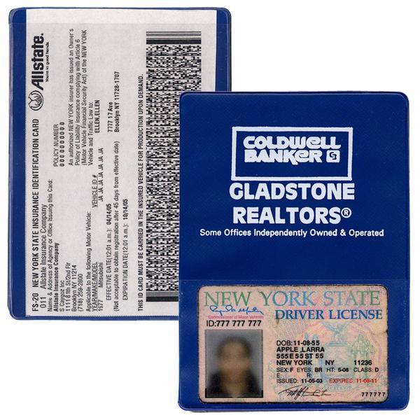 Travel Mate Insurance & Passport Case