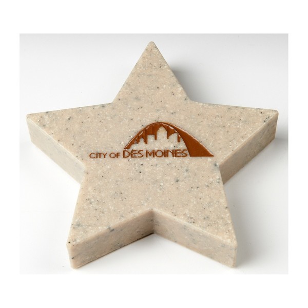 Star Stone Paperweight