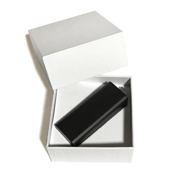 Saldus True Wireless Earbuds in Charging Case