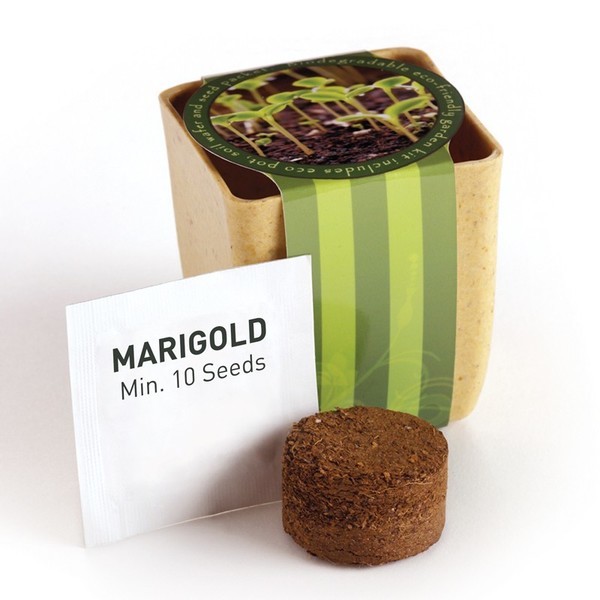Flower Pot Set w/ Marigold Seeds