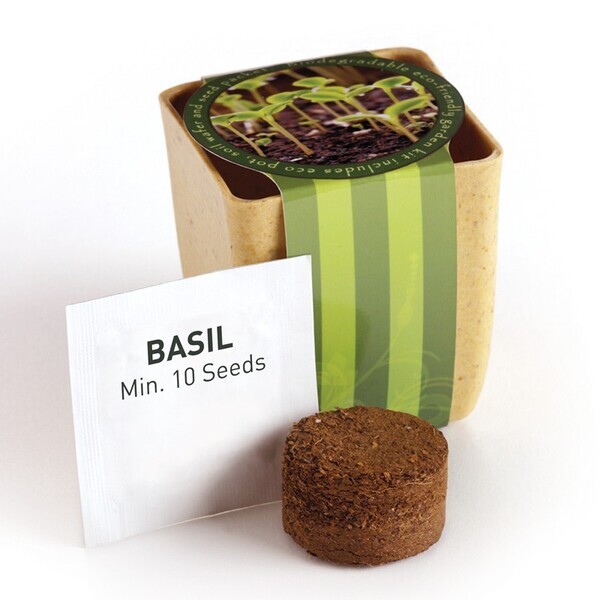 Flower Pot Set w/ Basil Seeds