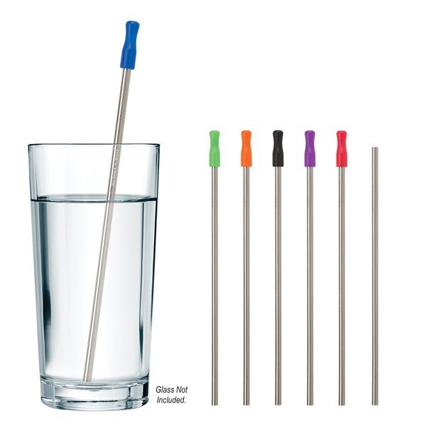 Stainless Steel Straw w/ Colored Tip & Cleaning Brush