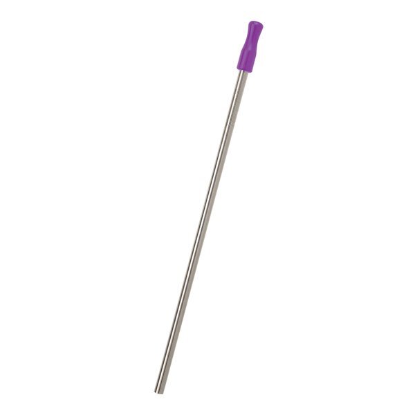 Stainless Steel Straw w/ Colored Tip & Cleaning Brush