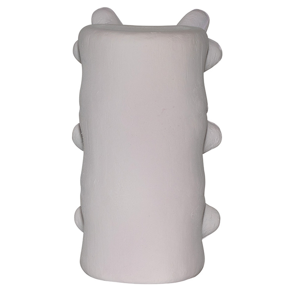 Spine w/ Vertebrae Stress Reliever
