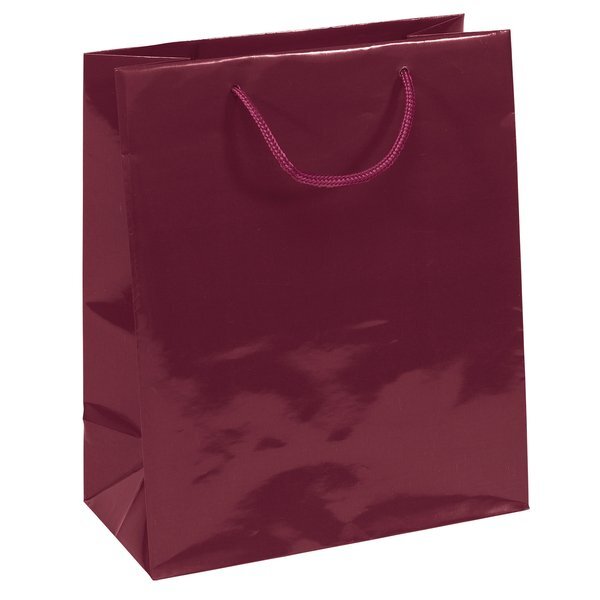 Gloss Finish Euro Tote Gift Bag, 10" x 12"