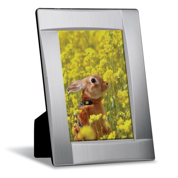 Structural Brushed Aluminum Photo Frame, 4" x 6"