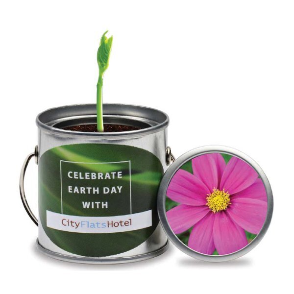 Paint Pail Flower Planter Kit