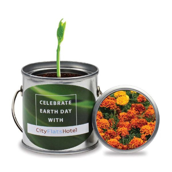 Paint Pail Flower Planter Kit