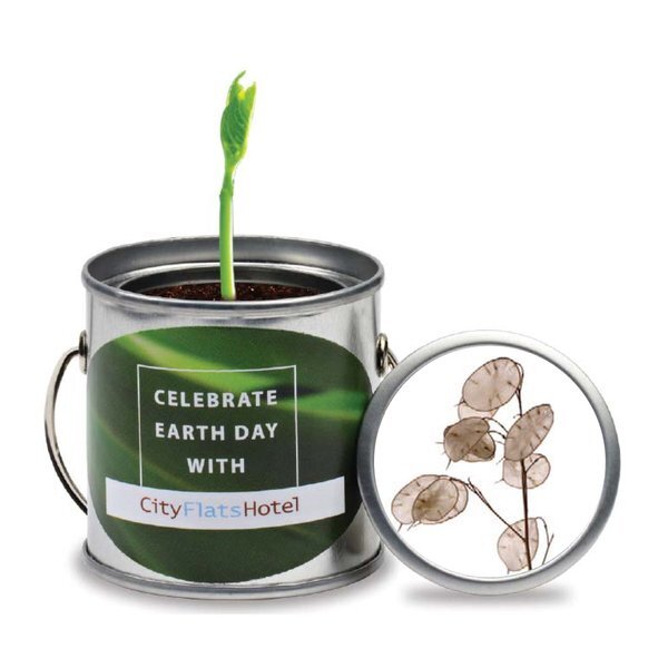 Paint Pail Flower Planter Kit