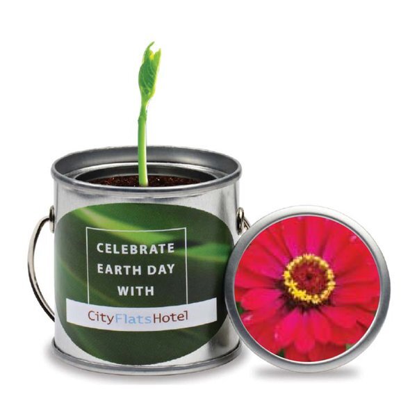 Paint Pail Flower Planter Kit