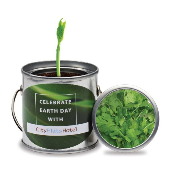 Paint Pail Herb Planter Kit