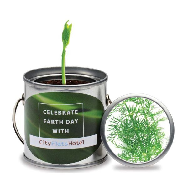 Paint Pail Herb Planter Kit