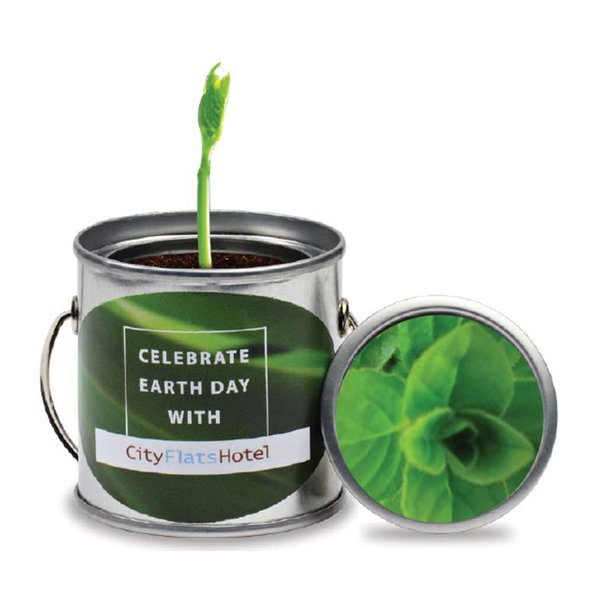 Paint Pail Herb Planter Kit