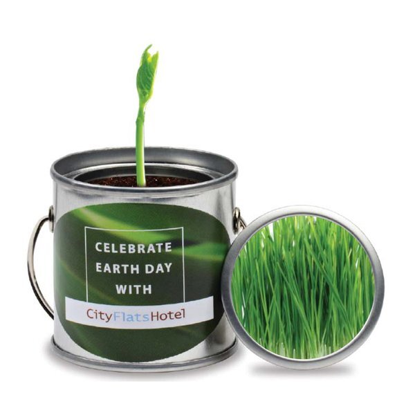 Paint Pail Herb Planter Kit