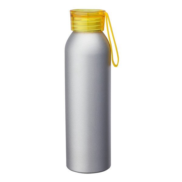Metis Silver Body Aluminum Water Bottle, 22oz.