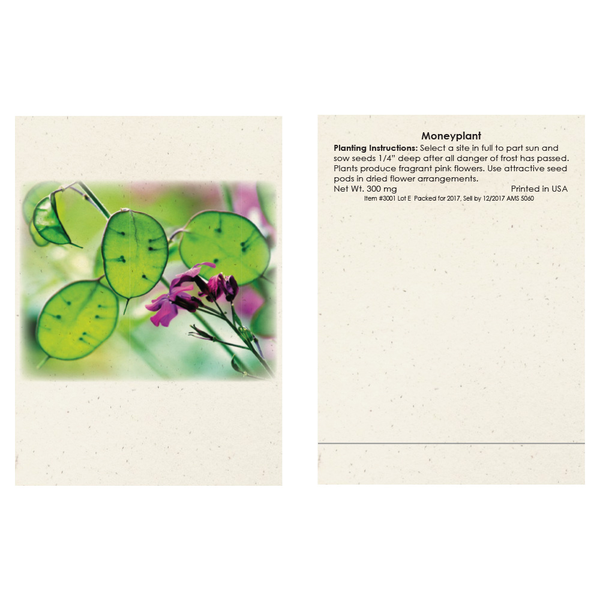 Money Plant Seed Packet