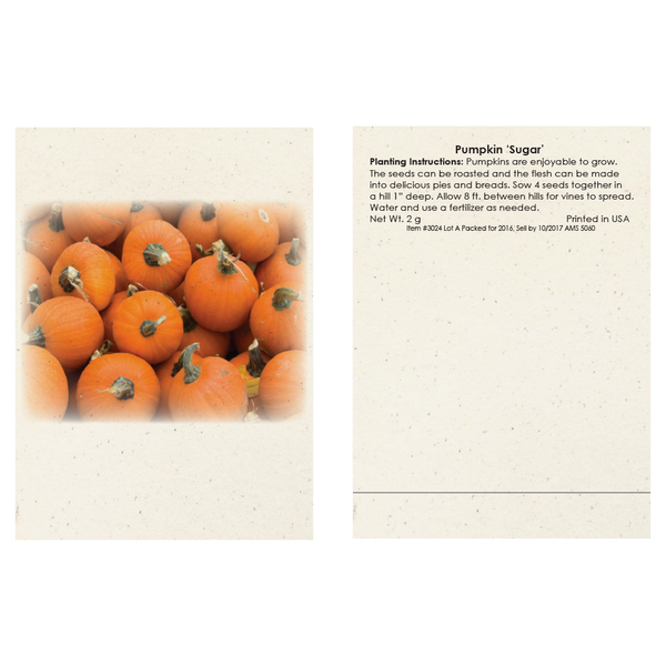 Pumpkin Seed Packet