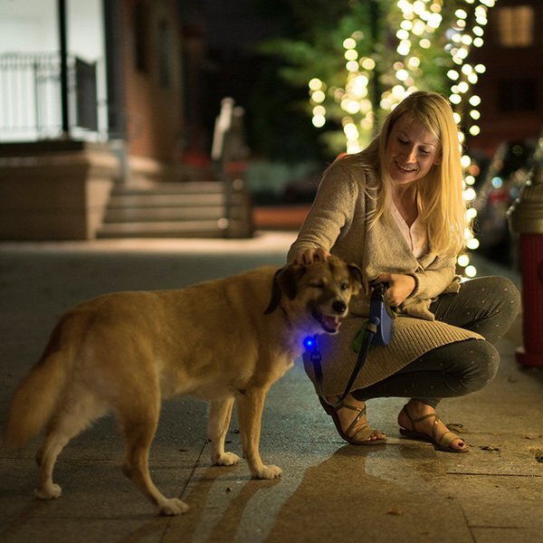 LED Clip-On Pet Safety Light - CLOSEOUT!