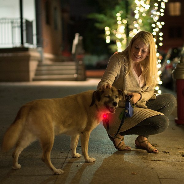 LED Clip-On Pet Safety Light - CLOSEOUT!