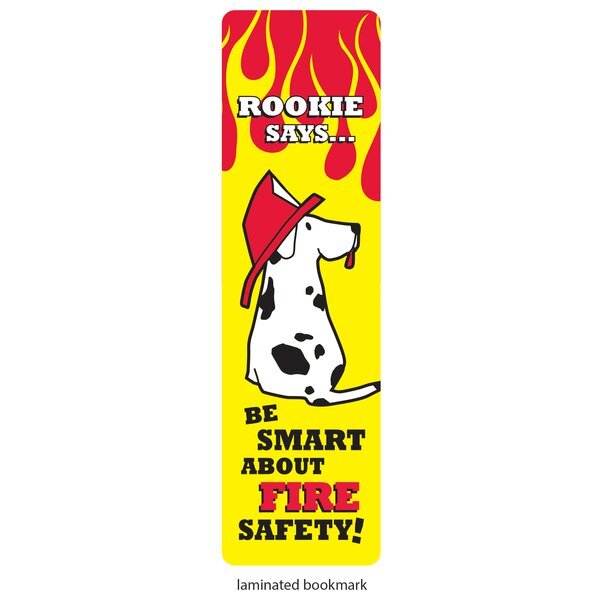 Rookie Fire Safety Teaching Aid Kit, Stock